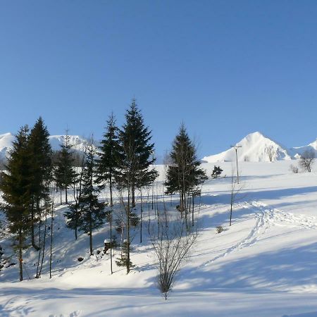 Goralska Obora Pension Ždiar Buitenkant foto