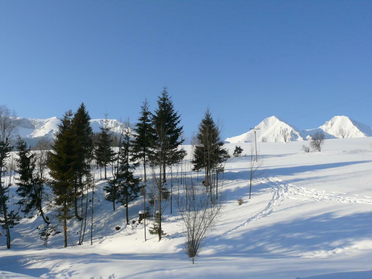 Goralska Obora Pension Ždiar Buitenkant foto