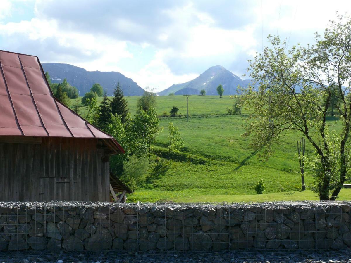 Goralska Obora Pension Ždiar Buitenkant foto